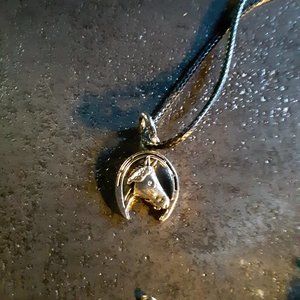 Horse Shoe Necklace